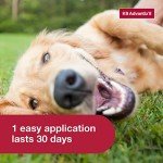 K9 Advantix II Flea, Tick & Mosquito Treatment for Dogs
