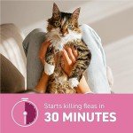 Capstar Fast-Acting Flea Treatment for Cats