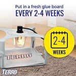 TERRO T230 Electric Indoor Flea Trap and Killer