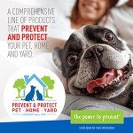 Adams Plus Flea & Tick Shampoo for Pets