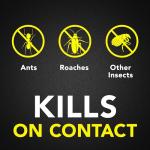 Raid Ant & Roach Killer, Fragrance-Free, 2-Pack