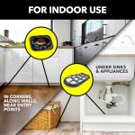 Raid Roach Killer Baits with Egg Stoppers, 12 Count