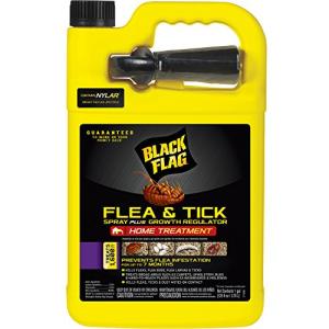 Black Flag Extreme Flea Killer with Growth Regulator