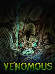 Venomous Pest Control Solution
