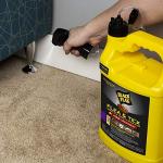 Black Flag Extreme Flea Killer with Growth Regulator