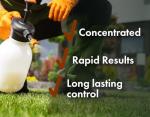 Pro Grub Control 32oz Concentrated Insecticide