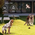 Large Bird-X Coyote Flat Decoy for Pest Control