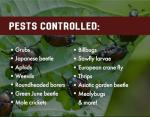 Pro Grub Control 32oz Concentrated Insecticide