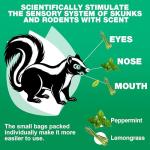 24 Pack Natural Peppermint Skunk Repellent Balls