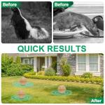 24 Pack Natural Peppermint Skunk Repellent Balls