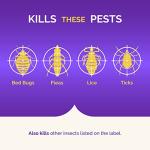 Hot Shot Bed Bug and Flea Fogger 3-Pack