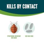 Bed Bug Killer Aerosol Spray - 14 fl oz