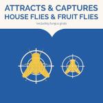 Hot Shot Discreet Flying Insect Trap 6 Count