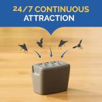 Hot Shot Discreet Flying Insect Trap 6 Count