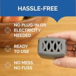 Hot Shot Discreet Flying Insect Trap 6 Count