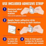 TERRO T334B Indoor Ant Bait Stations - 4 Pack