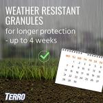 TERRO Outdoor Ant and Pest Bait - 2 Pack