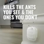 TERRO T334B Indoor Ant Bait Stations - 4 Pack