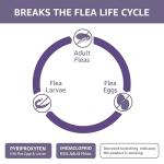 Amazon Basics Flea Treatment for Large Cats