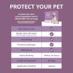 Amazon Basics Flea and Tick Treatment for Dogs