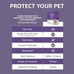 Amazon Basics Flea Treatment for Large Cats