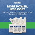 Agrisel ImidaPro 2SC Insect Control Spray, 32 oz