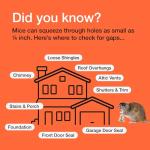 Mouse Hole Steel Wool Filler - 3 Pack