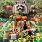 12Pack Natural Raccoon Repellent Pouches, Skunk Repellent Pouches for Outdoor Yard Garden House | Long-Lasting Protection | Safe for Dogs and Children