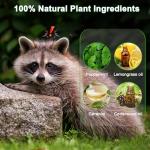 24 Pack Skunk Repellent for Outdoor - Raccoon Repellent Outdoor, Keep Skunks Raccoons Squirrels Away from Garden,Yard, Farm, Rodent Deterrent, Natural Ingredients Family & Pet Safe