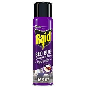 Raid Bed Bug Foaming Spray, Kills Bed Bugs and Their Eggs, for Indoor Use, Non-Staining, Keeps Killing for Weeks, 16.5 oz (Pack of 1)