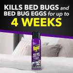 Raid Bed Bug Foaming Spray, Kills Bed Bugs and Their Eggs, for Indoor Use, Non-Staining, Keeps Killing for Weeks, 16.5 oz (Pack of 1)