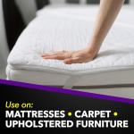 Raid Bed Bug Foaming Spray, Kills Bed Bugs and Their Eggs, for Indoor Use, Non-Staining, Keeps Killing for Weeks, 16.5 oz (Pack of 1)