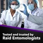 Raid Bed Bug Foaming Spray, Kills Bed Bugs and Their Eggs, for Indoor Use, Non-Staining, Keeps Killing for Weeks, 16.5 oz (Pack of 1)