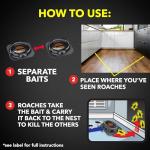 Raid Double Control Large Roach Baits (8 Count (Pack of 1))