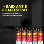 Raid Ant & Roach Killer Spray For Listed Bugs, Keeps Killing for Weeks, Lemon Scent, 17.5 oz