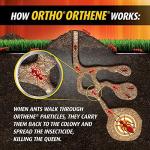 Ortho Orthene Fire Ant Killer1, Kills the Queen, Destroys up to 162 Mounds, Begins Working in 60 minutes, 12 oz.