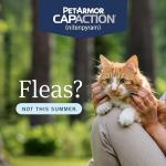 PetArmor CAPACTION (nitenpyram) Oral Flea Treatment for Cats, Fast Acting Tablets Start Killing Fleas in 30 Minutes, Cats 2-25 lbs, 6 Doses
