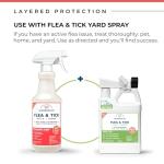 Wondercide - Flea, Tick & Mosquito Spray for Dogs, Cats, and Home - Control, Prevention, Treatment - with Natural Essential Oils - Pet and Family Safe - Peppermint 16 oz