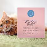 Catego for Cats Flea and Tick Treatment & Prevention (Over 1.5 lbs) 6-Month Supply