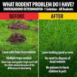 Manning Products Underground Exterminator Pest Control Reusable Exhaust Pipe Attachment- Exterminates Gophers, Moles, Skunks, Voles and All Outdoor Underground Pests Humanely with Exhaust from Cars