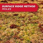 Amdro Mole & Gopher Bait 1 LB, 100510486, Black label