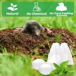 24 Pack Mole Repellent for Yard Garden Outdoor, Mole Repellent for Vole, Groundhog, Gopher | Waterproof & Sunproof | Eco-Friendly, Non-Toxic | Ready-to-Use Mole Deterrent | Safe for Kids & Pets