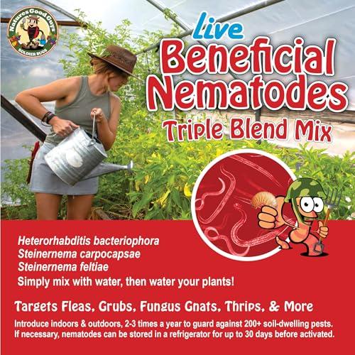 Live Beneficial Nematodes Hb+Sc+Sf - Kills Over 200 Different Species of Soil Dwelling and Wood Boring Insects. (5 Million_Nematodes)