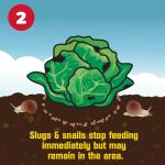Corry's 100537446 Slug & Snail Killer, 3.5 lb