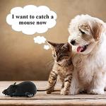 Aerbee Remote Control Rat Toy, Electric RC Mouse Toy Emulation Flocking Rat Toy Interactive Cat Toys Pet Toys Funny Wireless Chasing Prank Joke Scary Trick Rats Animal for Pets Novelty Gift