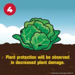 Corry's 100537446 Slug & Snail Killer, 3.5 lb