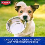 BAYER CROP SCIENCE 704100 Bermudagrass Control for Lawns Ready-To-Spray, 32-Ounce