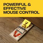 Victor Mouse Traps M035-12, Plastic Pedal, Sustainably Sourced FSC Wood, Wooden Mouse Traps, 12 Pack