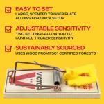 Victor Mouse Traps M035-12, Plastic Pedal, Sustainably Sourced FSC Wood, Wooden Mouse Traps, 12 Pack