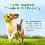 BugMD Pest Control Essential Oil Concentrate (3.7 oz, 2 Pack) - Plant Powered Bug Spray Quick Kills Flies, Ants, Roaches, Mosquitoes, and More